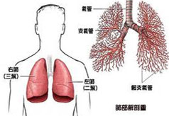 肺气肿遗传吗？